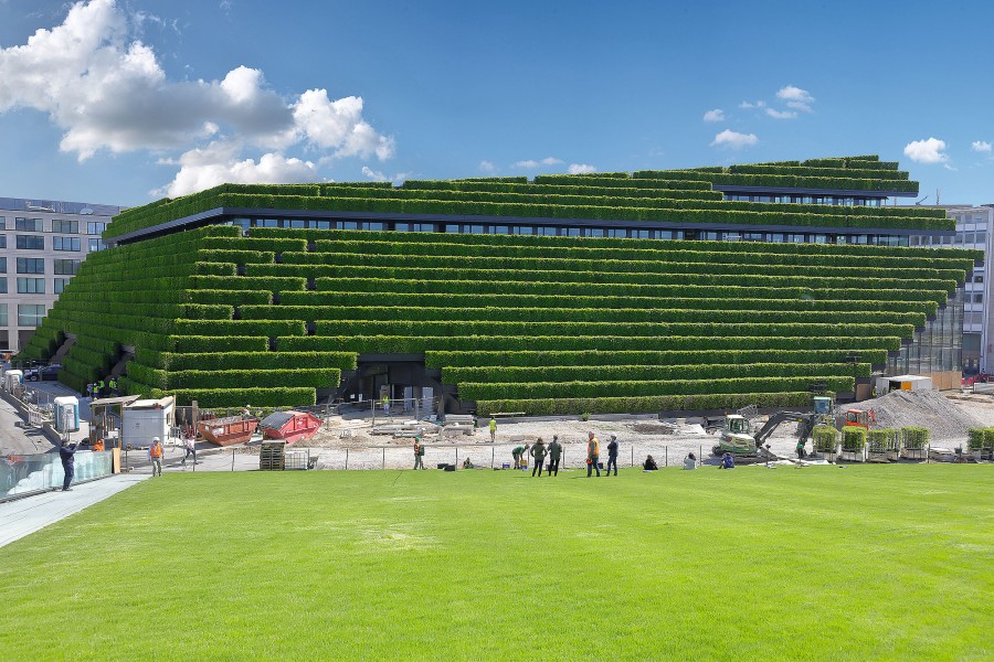 Die heute „größte grüne Fassade Europas“ im Rahmen des Projekts Kö-Bogen II war ein wesentlicher Bestandteil des Konzepts der Planer von ingenhoven architects GmbH. Die Laubfläche der Fassade mit einer Größe von mehr als vier Fußballfeldern ist ein immenser Energieumwandler. Bild: Optigrün