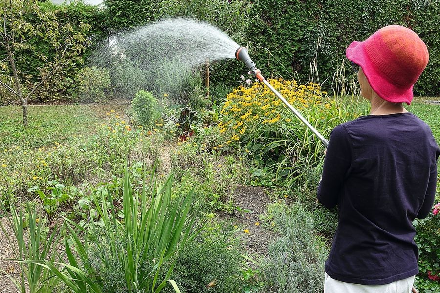 Regen bringt Segen, sagen die Bauern und Gärtner. Wenn er lange ausbleibt, leidet die Vegetation. Mit gesammeltem Niederschlag können wir jedoch einiges ausgleichen, ohne wertvolles Trink- und Grundwasser zu nutzen. Zudem lassen sich so auch Wassergebühren sparen. Bild: Klaus W. König