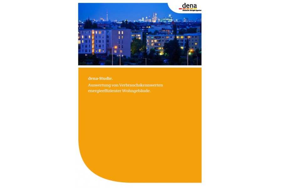 Das Cover der dena-Studie