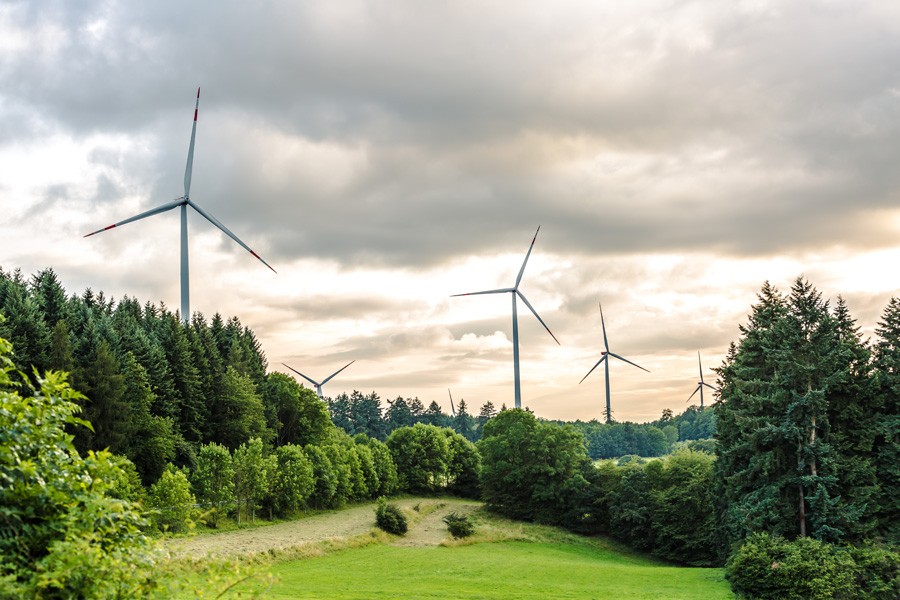 Bundeswirtschaftsminister Robert Habeck und Umweltministerin Steffi Lemke zufolge soll der Windkraftausbau künftig auch in Landschaftsschutzgebieten möglich sein. Quelle: stock.adobe.com/Birgit Reitz-Hofmann
