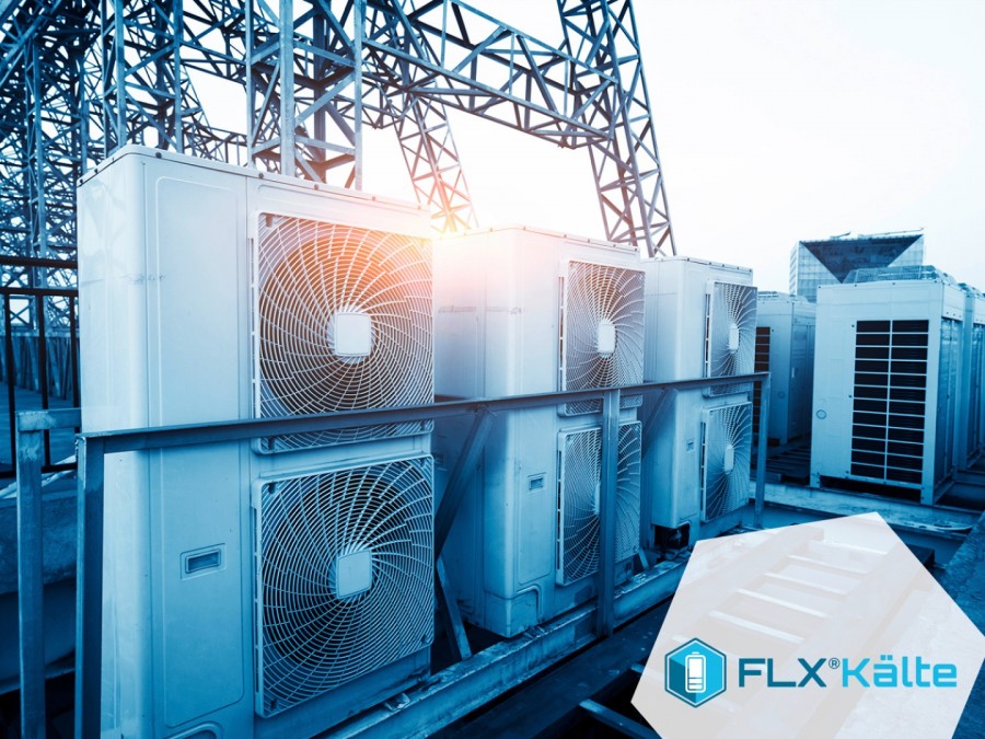 Im Zentrum des Online-Workshops steht die Flexibilisierung von Kälteversorgungssystemen für den elektrischen Energieausgleich in Deutschland. Quelle: © shutterstock/Fraunhofer UMSICHT